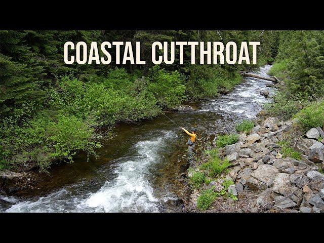 Fly Fishing the Most Beautiful Cutthroat Trout I’ve Ever Seen!