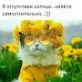 @romashkasimpo3036