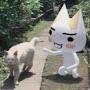 @kokekokkooooooo