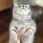 @buddhasalam7450