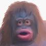 @Monkeman13698