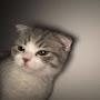 @user-gg5pi9wh1j
