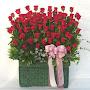 @김혜수-f3d