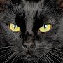 @lechatnoir1923