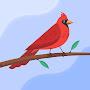 @ethioskytube9808