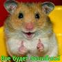 @ДенисДунаев-ш5у
