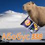 @338-tu9qu