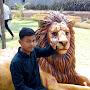 @kanhucharangouda5448