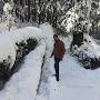 @jitendermalik3818