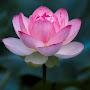 @KhalidWaghoo123