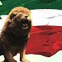 @arasheffatnezhad6332