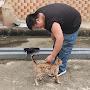 @狐狸先輩