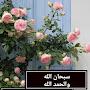 @blissfulji