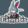 @Cannabis8924