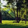 @MohamedAli-cp2jw