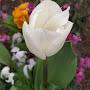 @hayetkhalfaoui8304