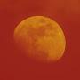 @bloodmoon942