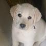 @AmitSheoran-qs9yq