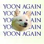 @ResetKoreaYoonAgain123