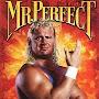 @misterperfect