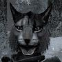 @dromarashthewarrior5820