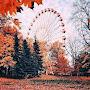 @Fall-Lover1