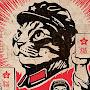 @chairman-meow