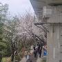 @김민기-e6c