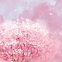@noorsarwar5074
