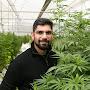 @RohitSharmaCannabis