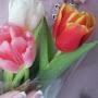 @faraway9839