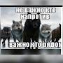 @adamkahaev8627