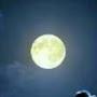 @nikhilshinde3853