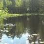 @vasiliyseletskiy2349