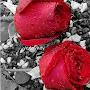 @saed94