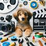 @TailWagProductions-r4l