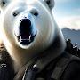 @Operator-Polar-Bear