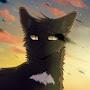 @kot-wolf4648