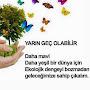 @ibrahimguven851