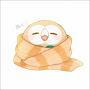@lil_rowlet