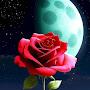 @MoonRosary
