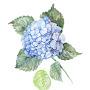 @paint_artcreation252