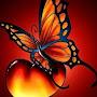 @sheilalasota2125