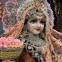 @ShivaniSingh-2626