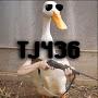 @TJ-hg6op