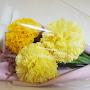 @mp-ghhong8399