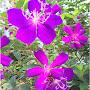 @sheungwanto1189