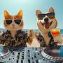 @PurrAndBarkDJs