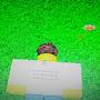 @shedletsky_friedchicken