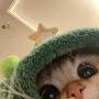 @alizaww